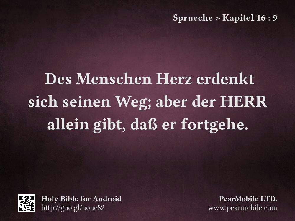 Sprueche, Kapitel 16:9